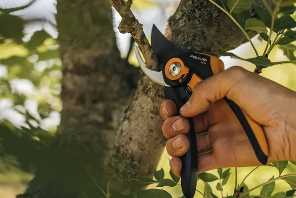 Hand schneidet Ast mit Gartenschere